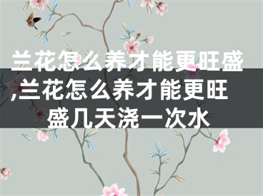 兰花怎么养才能更旺盛,兰花怎么养才能更旺盛几天浇一次水
