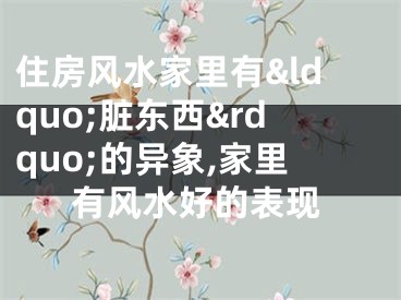 住房风水家里有&ldquo;脏东西&rdquo;的异象,家里有风水好的表现