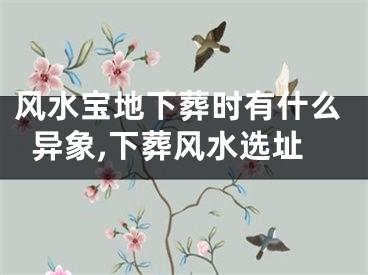 风水宝地下葬时有什么异象,下葬风水选址