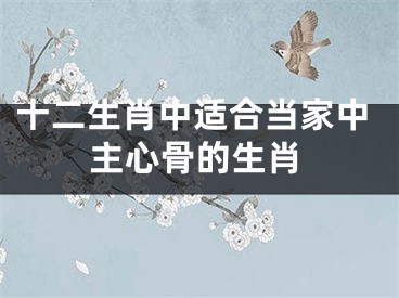 十二生肖中适合当家中主心骨的生肖