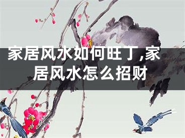 家居风水如何旺丁,家居风水怎么招财