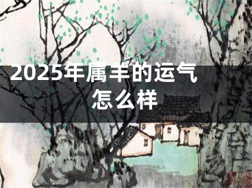 2025年属羊的运气怎么样