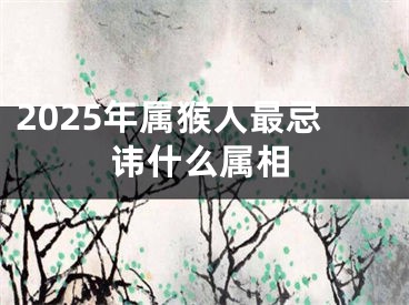 2025年属猴人最忌讳什么属相