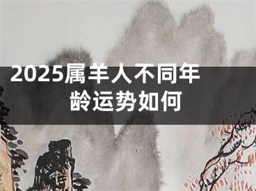 2025属羊人不同年龄运势如何