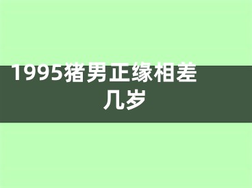 1995猪男正缘相差几岁