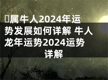 ​属牛人2024年运势发展如何详解 牛人龙年运势2024运势详解