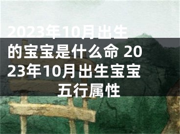 2023年10月出生的宝宝是什么命 2023年10月出生宝宝五行属性