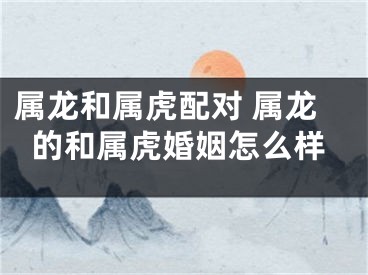 属龙和属虎配对 属龙的和属虎婚姻怎么样