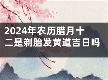 2024年农历腊月十二是剃胎发黄道吉日吗