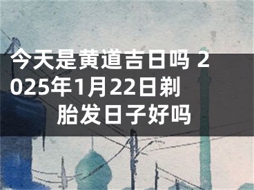 今天是黄道吉日吗 2025年1月22日剃胎发日子好吗