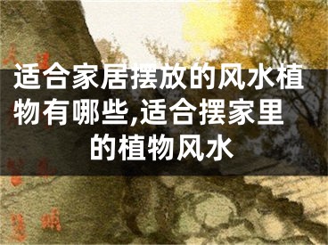 适合家居摆放的风水植物有哪些,适合摆家里的植物风水