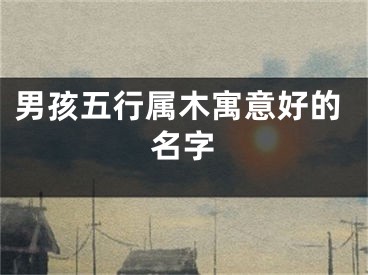 男孩五行属木寓意好的名字