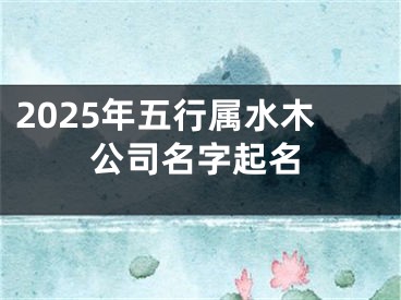 2025年五行属水木公司名字起名