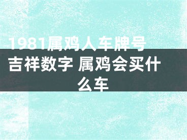 1981属鸡人车牌号吉祥数字 属鸡会买什么车