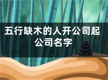 五行缺木的人开公司起公司名字