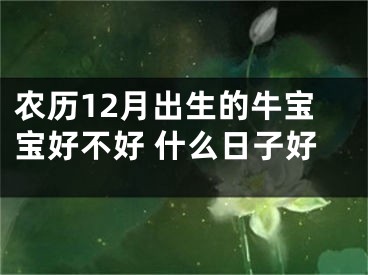 农历12月出生的牛宝宝好不好 什么日子好