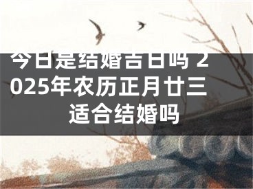 今日是结婚吉日吗 2025年农历正月廿三适合结婚吗