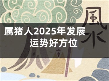 属猪人2025年发展运势好方位