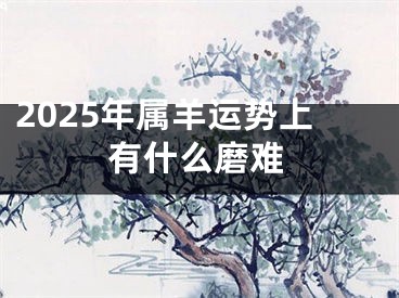 2025年属羊运势上有什么磨难