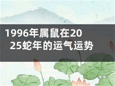 1996年属鼠在2025蛇年的运气运势