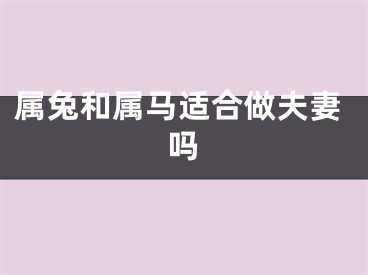 属兔和属马适合做夫妻吗