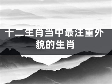 十二生肖当中最注重外貌的生肖