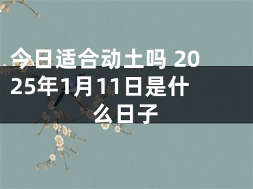 今日适合动土吗 2025年1月11日是什么日子