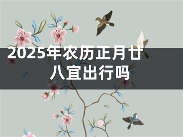 2025年农历正月廿八宜出行吗