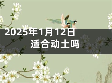 2025年1月12日适合动土吗