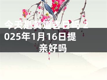 今天是黄道吉日吗 2025年1月16日提亲好吗