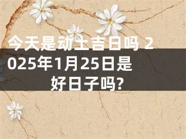 今天是动土吉日吗 2025年1月25日是好日子吗?