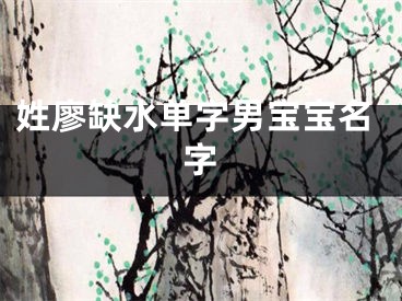 姓廖缺水单字男宝宝名字