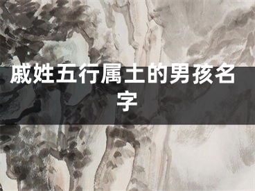 戚姓五行属土的男孩名字