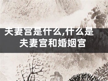 夫妻宫是什么,什么是夫妻宫和婚姻宫