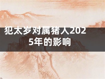 犯太岁对属猪人2025年的影响