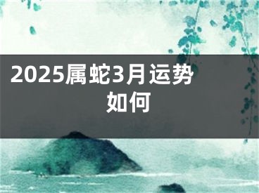 2025属蛇3月运势如何