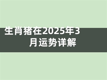 生肖猪在2025年3月运势详解