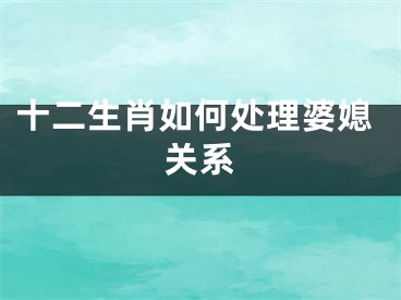 十二生肖如何处理婆媳关系