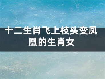 十二生肖飞上枝头变凤凰的生肖女