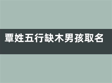 覃姓五行缺木男孩取名