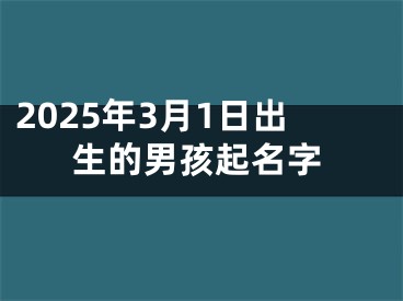 2025年3月1日出生的男孩起名字