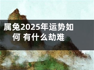 属兔2025年运势如何 有什么劫难 