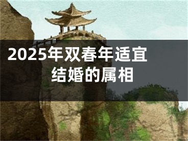 2025年双春年适宜结婚的属相