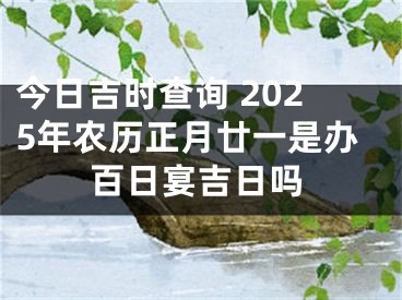 今日吉时查询 2025年农历正月廿一是办百日宴吉日吗