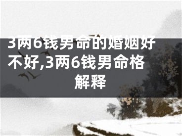 3两6钱男命的婚姻好不好,3两6钱男命格解释
