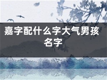 嘉字配什么字大气男孩名字