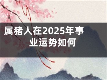属猪人在2025年事业运势如何