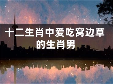 十二生肖中爱吃窝边草的生肖男