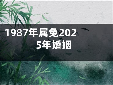 1987年属兔2025年婚姻