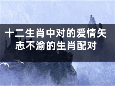 十二生肖中对的爱情矢志不渝的生肖配对